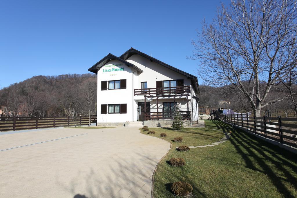 Pensiunea Livada Bunicului Stanesti  Exterior photo