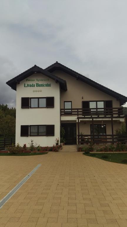 Pensiunea Livada Bunicului Stanesti  Exterior photo